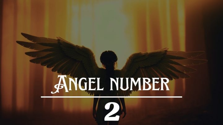 Significado do Anjo Número 2: É hora de abraçar o amor