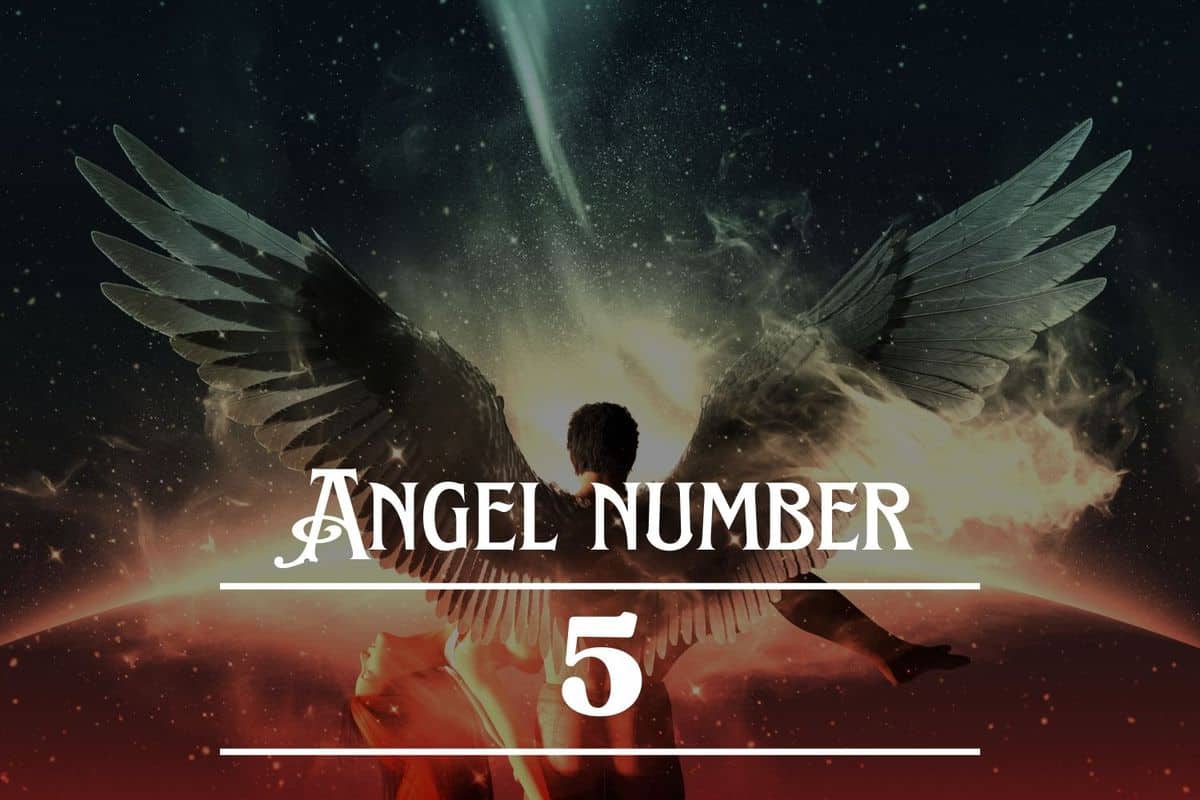 Angel Number 5 Meaning: Your Dreams Are Coming True - Angelynum