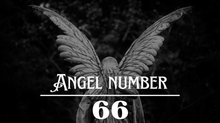 Significado do anjo número 66: Estás a aprender com os teus erros!