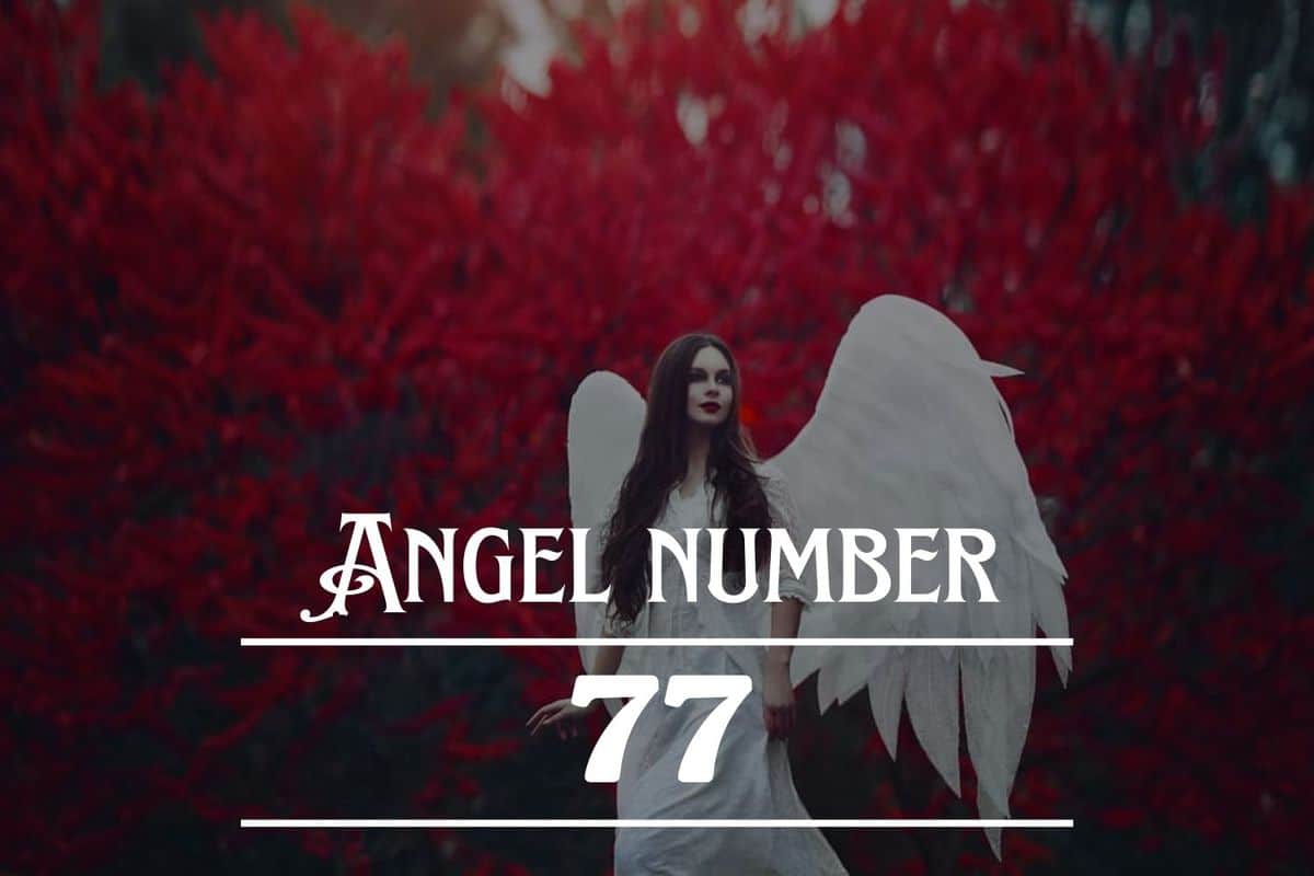 77 Angel Number: A Sign of Reassurance & Spiritual Growth