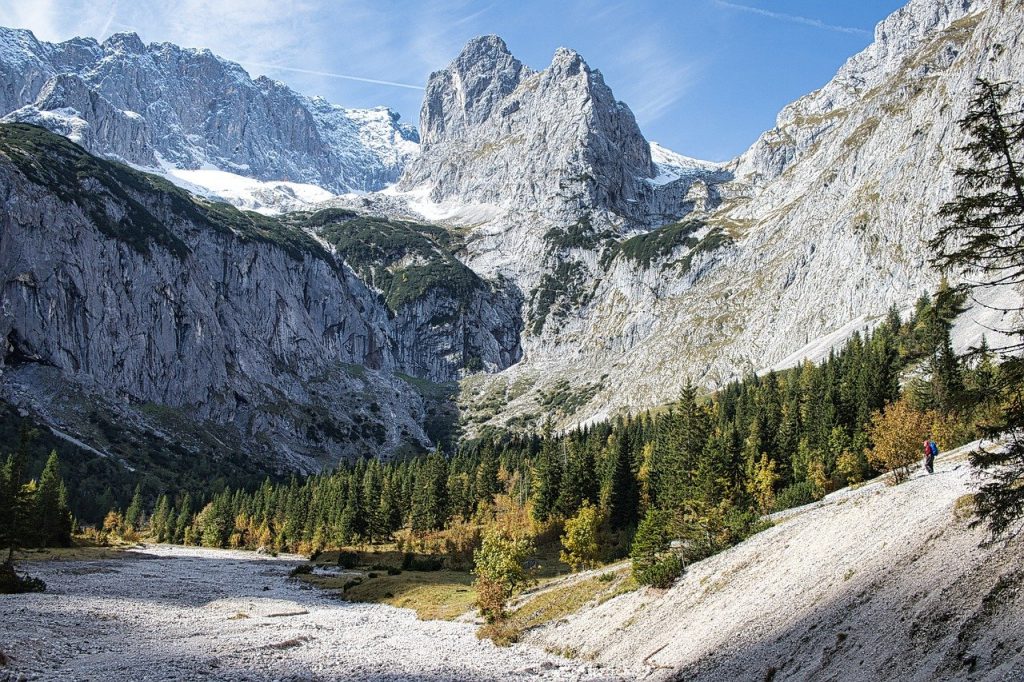 mountains - landscape - forest