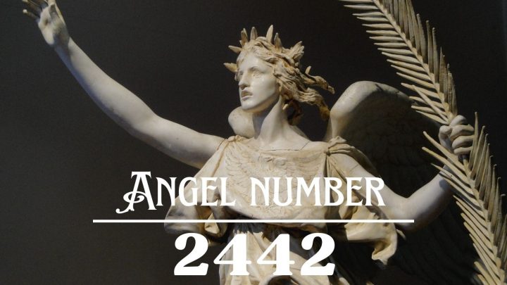 Significado do Anjo Número 2442: Nunca perca a esperança