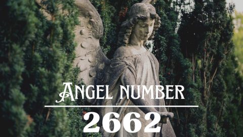 Angel Number 2662 Meaning: Nurture Your Relationships