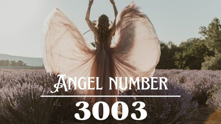 天使号码 3003 的含义：做你喜欢的事。