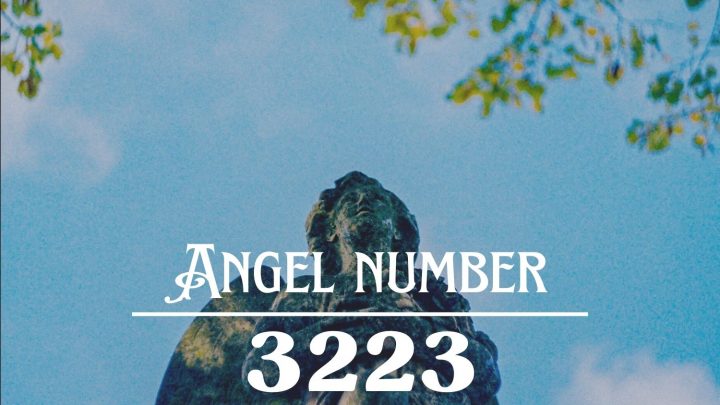 天使号码3223的含义：创造自己的幸福。
