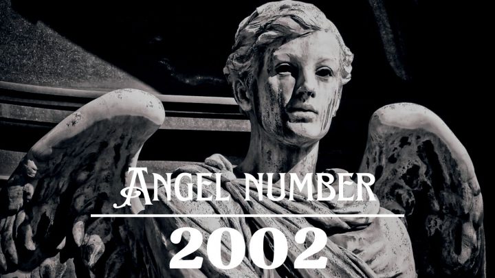 2002年天使号码的含义：你所有的努力终于有了回报！2002年的天使数字。