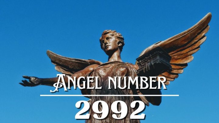 天使编号 2992 的含义：目的是一种日常仪式。