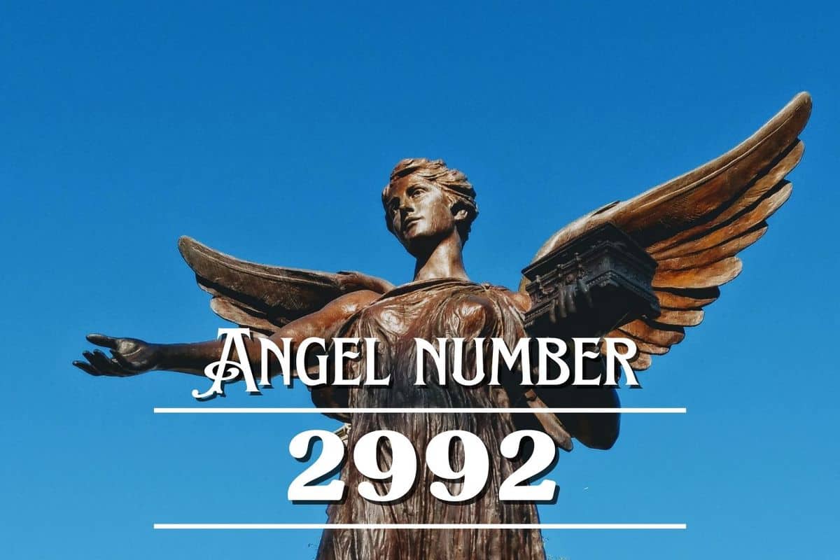 angel-number-2992-meaning-purpose-is-a-daily-ritual-angelynum