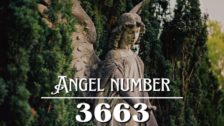 Angel Number 3663 Meaning: The Threads That Bind Us