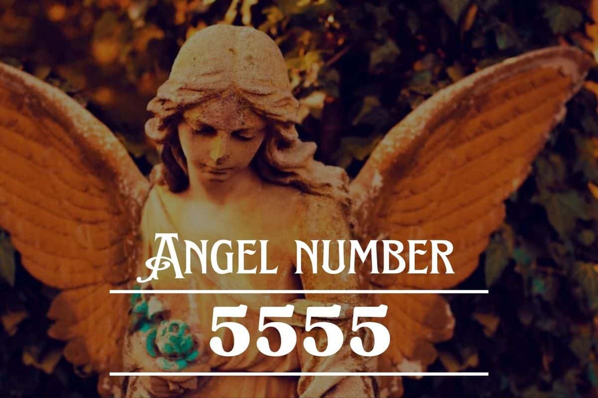 Angel Number 5555 Meaning: You Are Ready To Undergo a Great ...