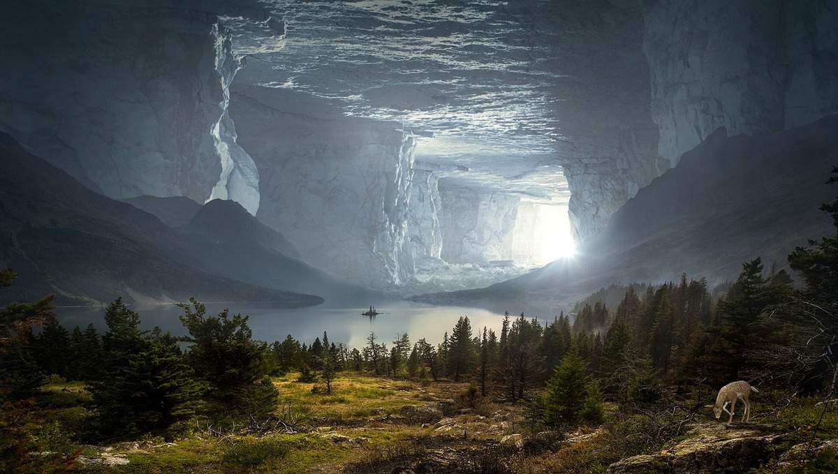 洞穴-景观-森林