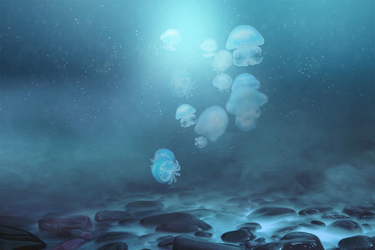 jellyfish - fantasy - deep