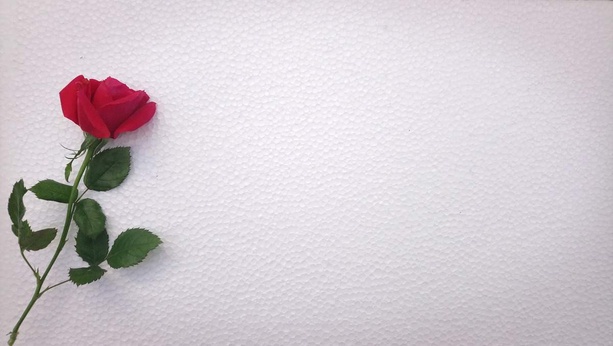 love-valentines-flower