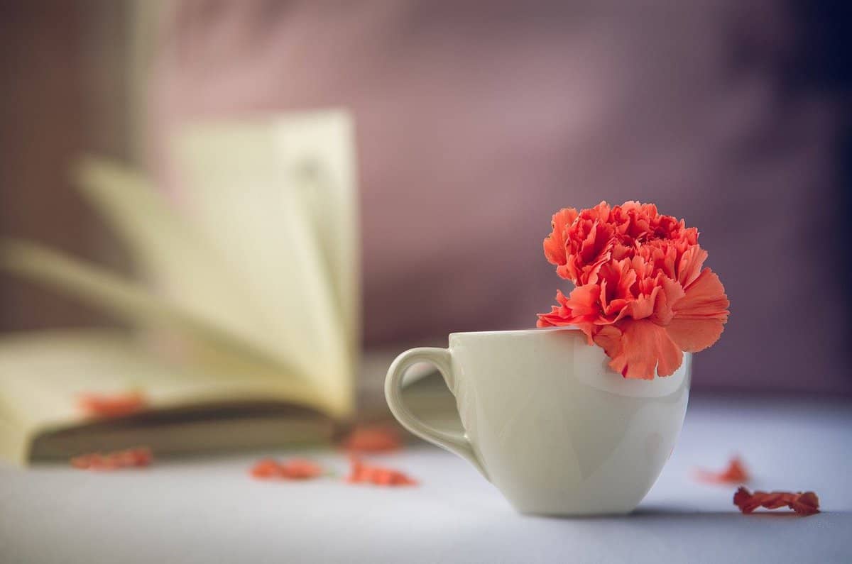 desk - cup - book