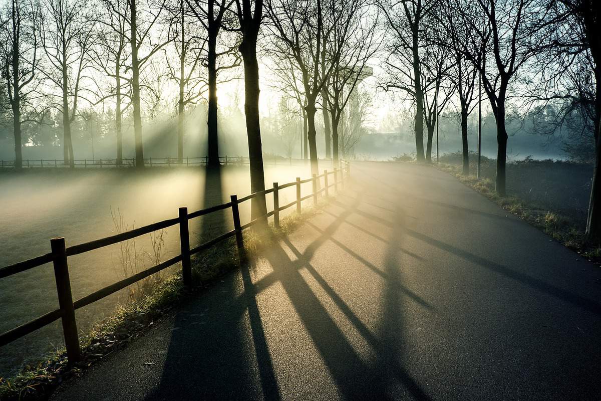 mist-road-fence