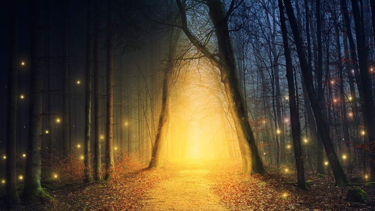 woods-road-light