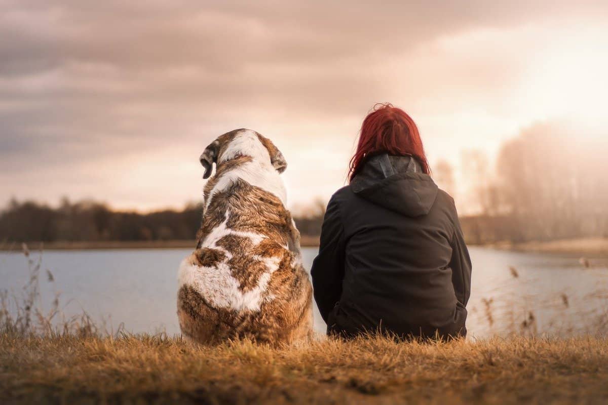 dog - woman - sitting