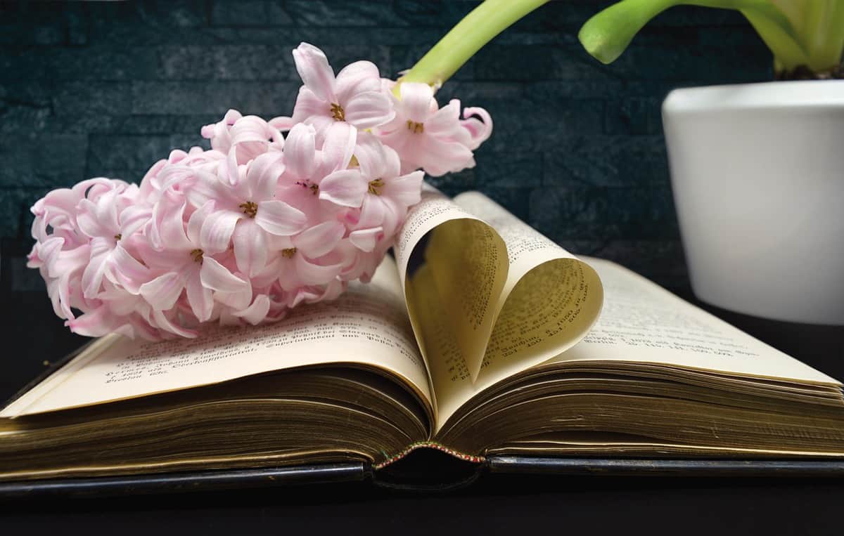 flowers - love - book