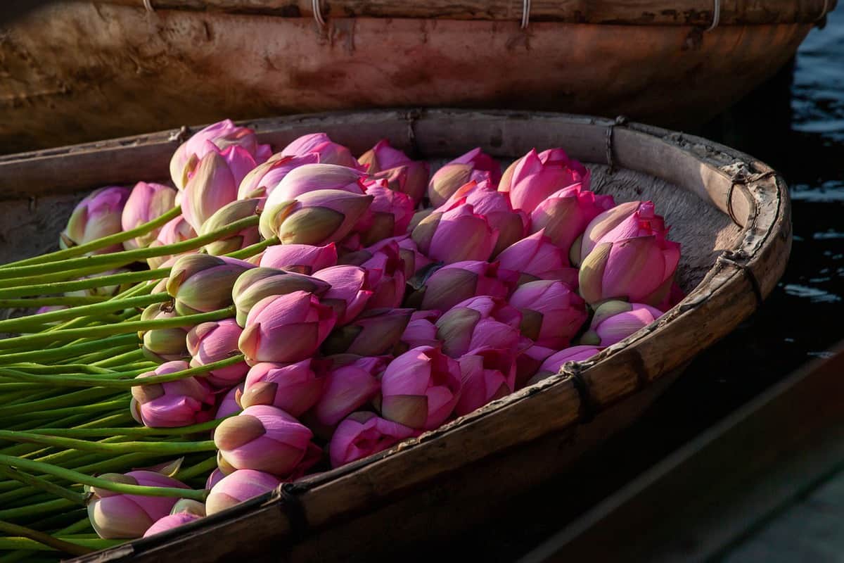 cesto di fiori rosa