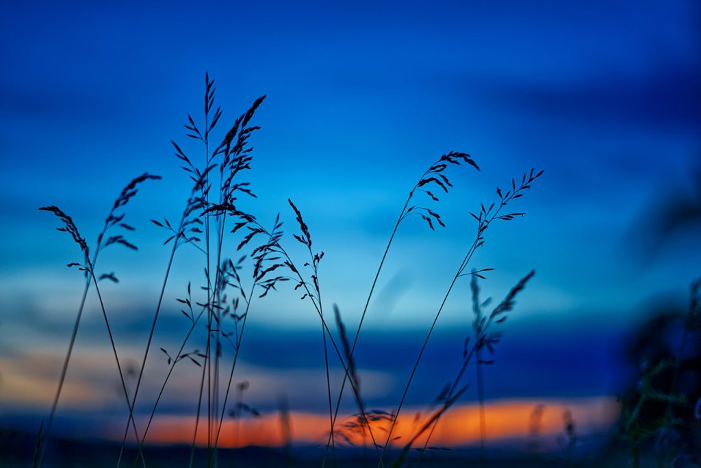 cielo-azul-puesta de sol