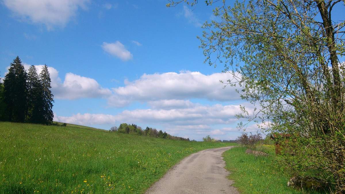 landscape-beautiful-pathway