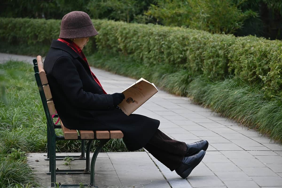 bench - park - relaxing