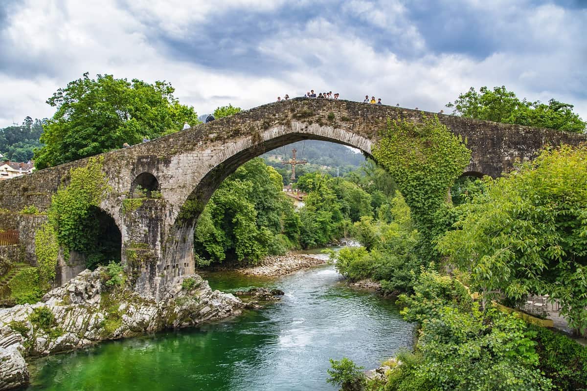 ponte verde-natureza