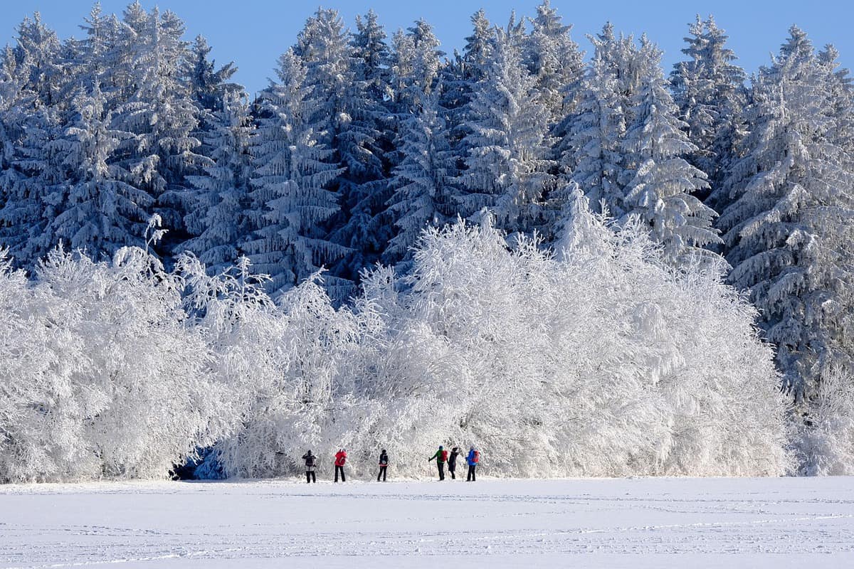 paesaggio-foresta-persone