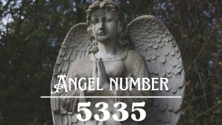 Angel Number 5335 Meaning: Choose To Be Happy - Angelynum