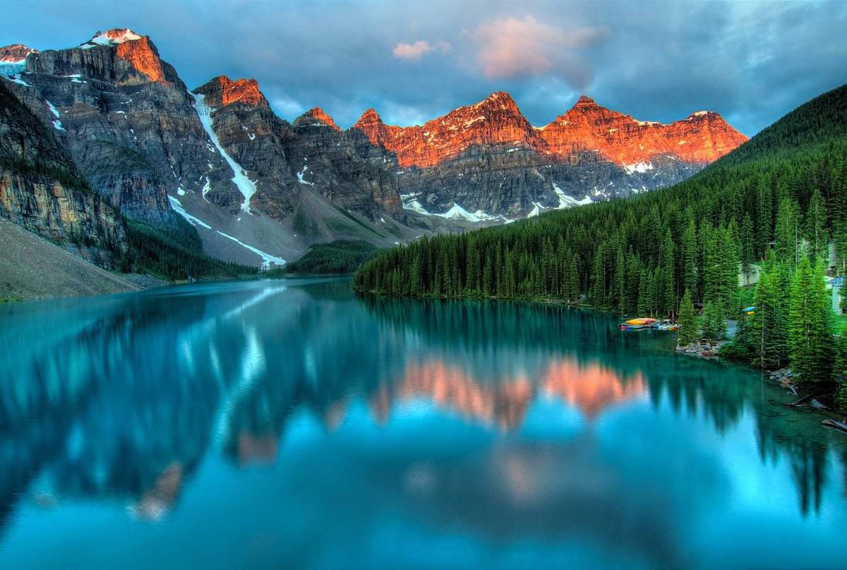 lago chiaro-foresta