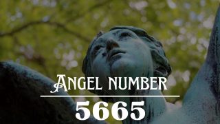 Angel Number 5665 Meaning: Change Starts With You