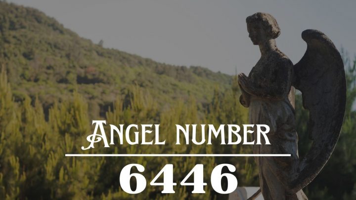 Significado do número de anjo 6446: Os seus sonhos tornar-se-ão realidade