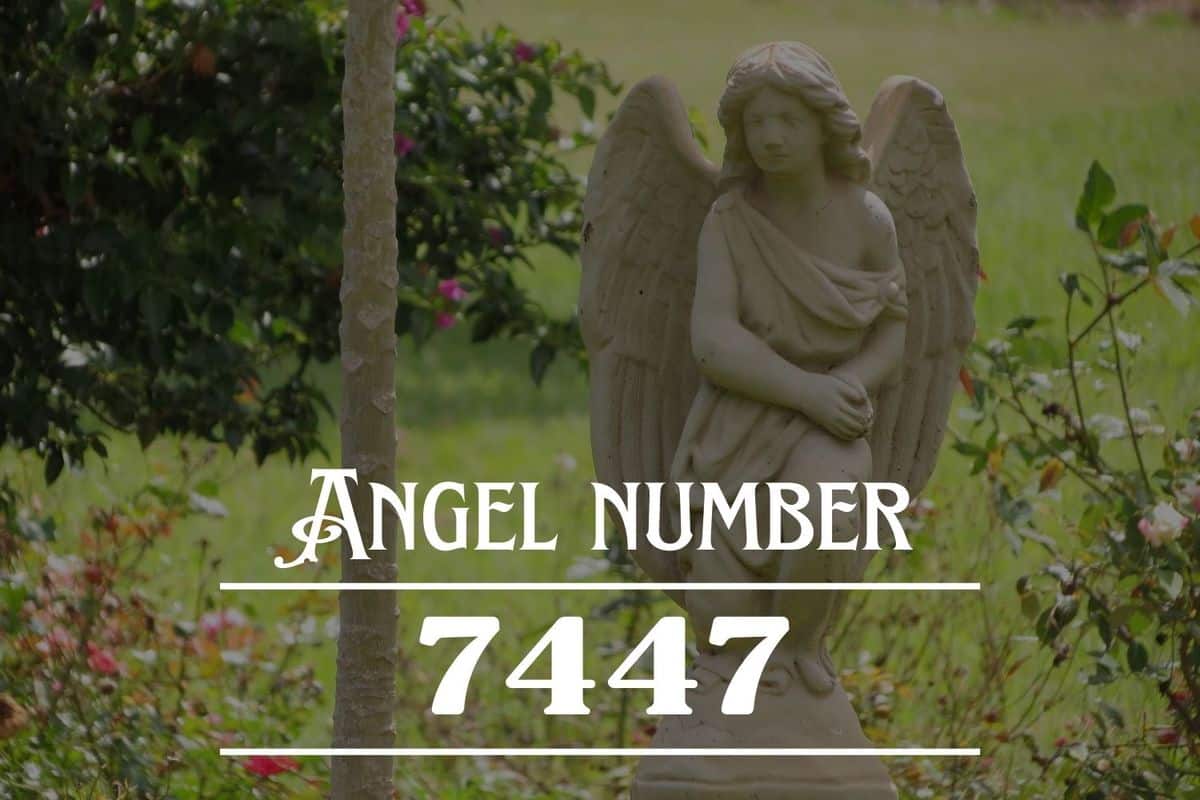 Angel Number 7447 Meaning: Amazing Possibilities Await You, Take ...