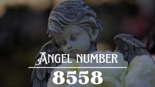 Angel Number 8558 Meaning: Your Life Is About To Change For The Better