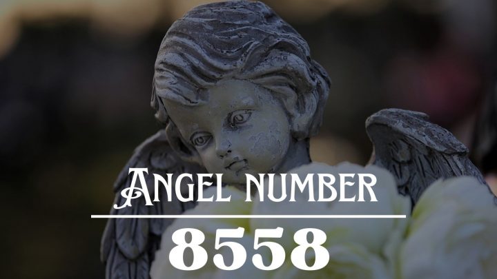 Significado del Número Ángel 8558: Tu vida está a punto de cambiar para mejor ¡ 