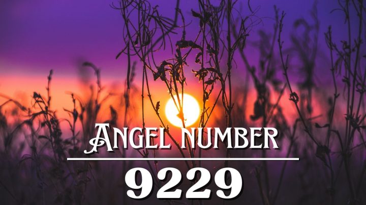 天使号码9229的含义：爱与自由的失重。