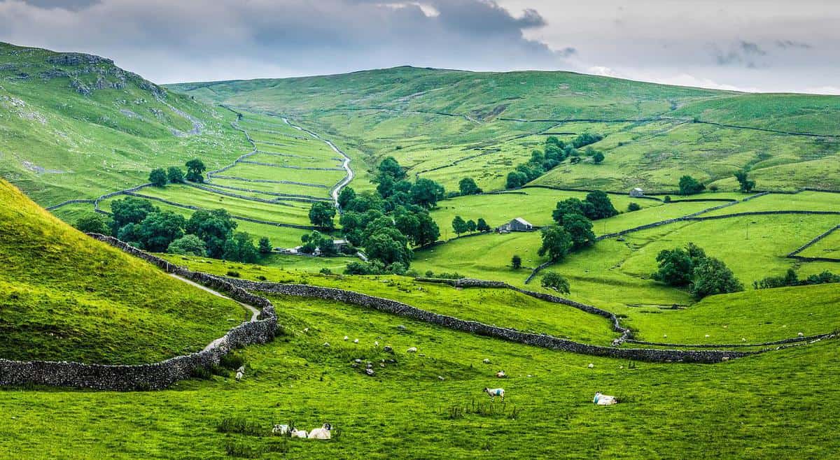 green-meadow-landscape