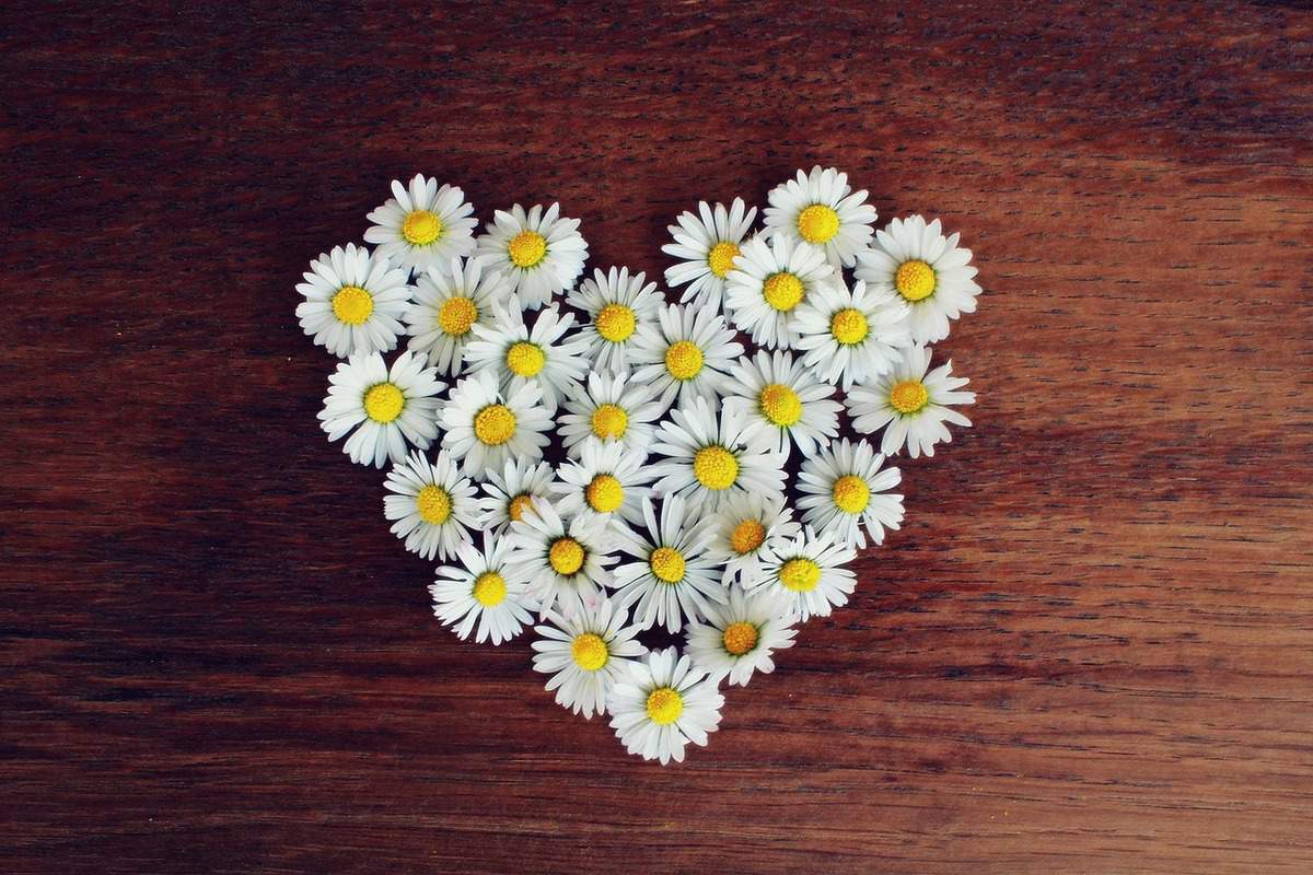 fiori dal cuore romantico