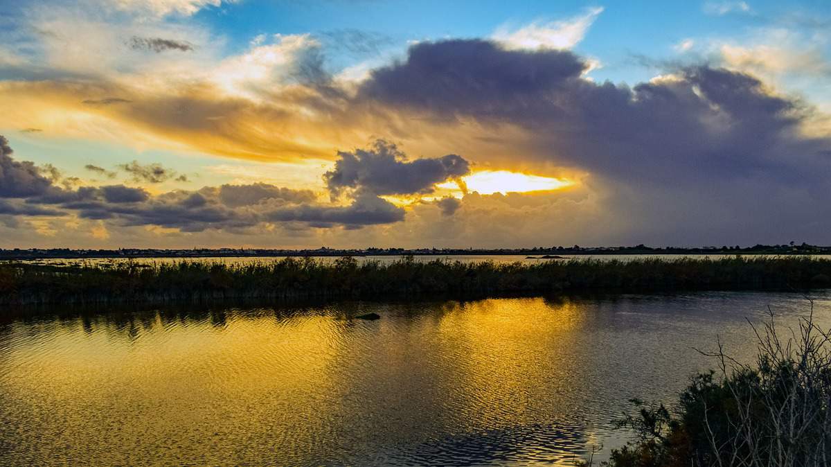 paisagem-água-floresta