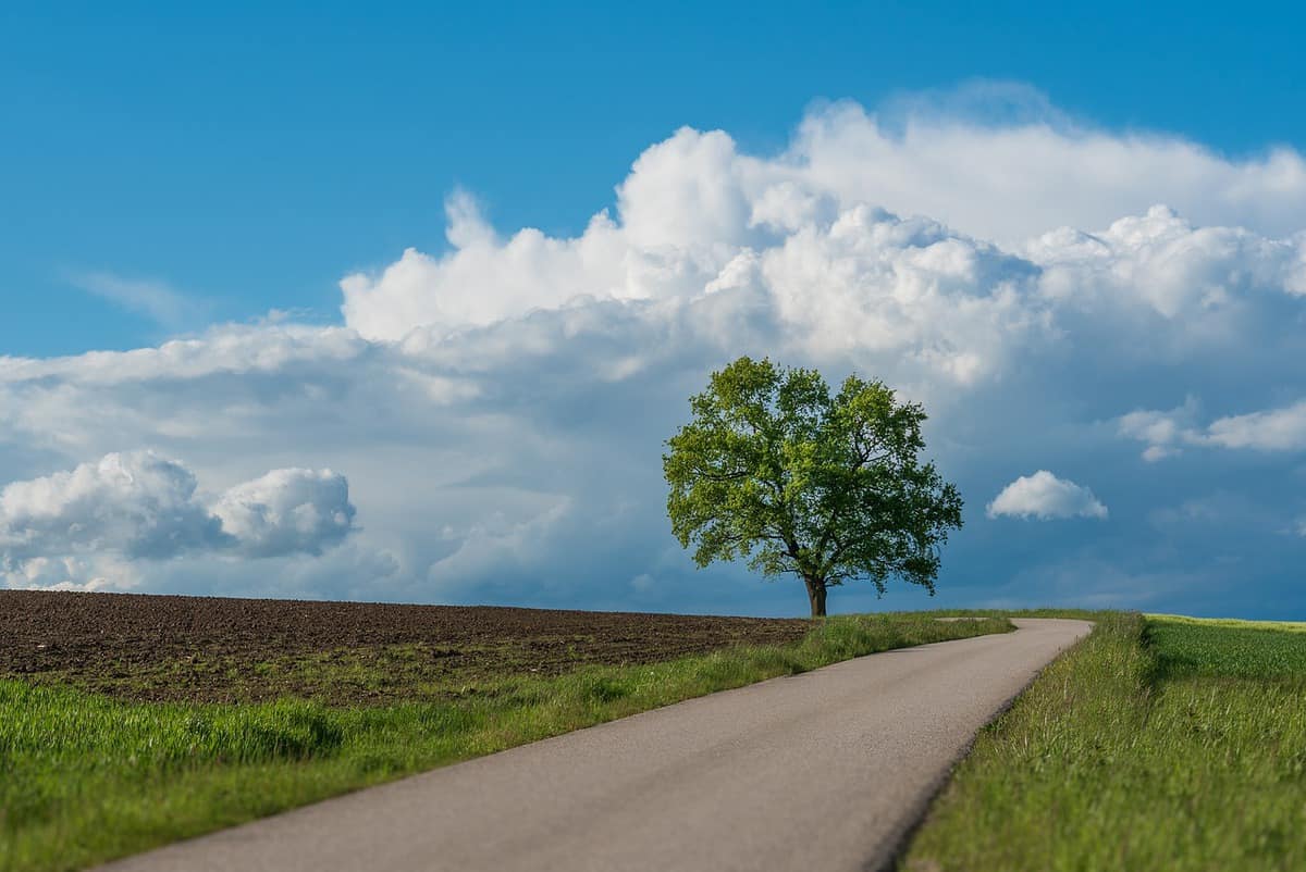 viagem-caminho-solitário