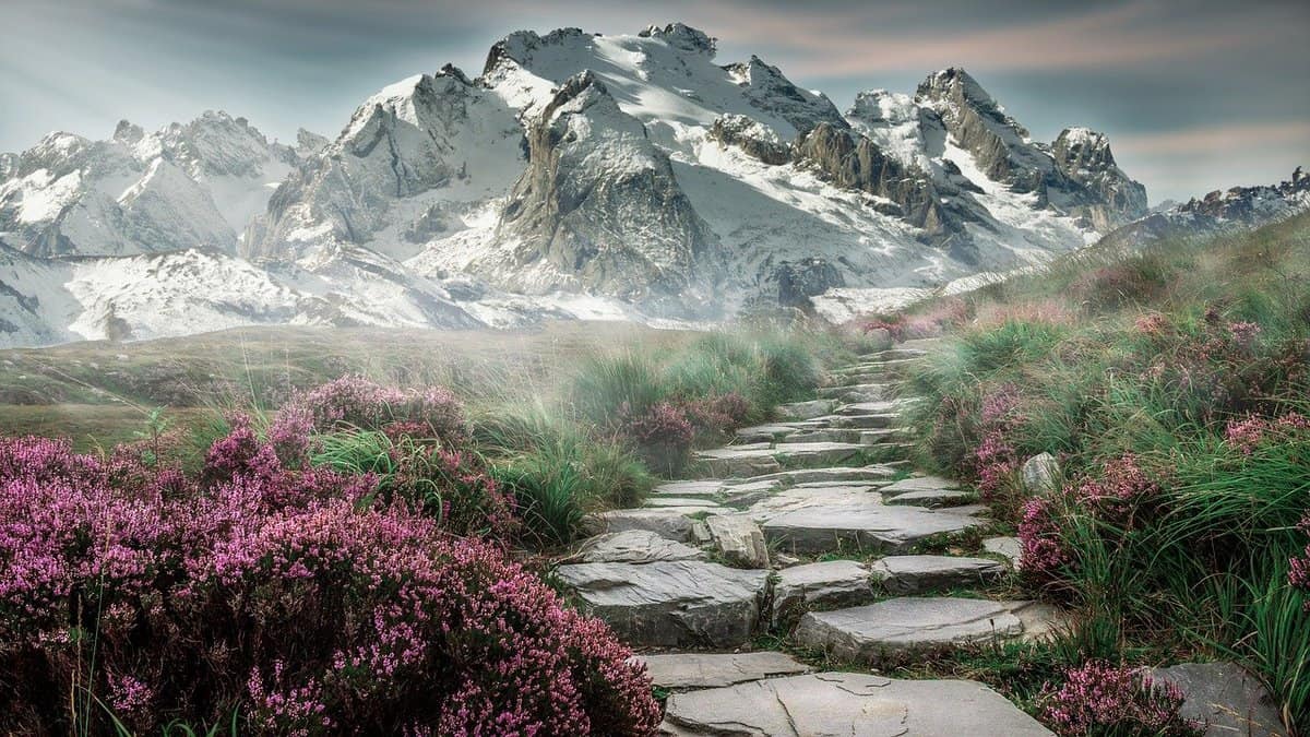 mountain-peak-path