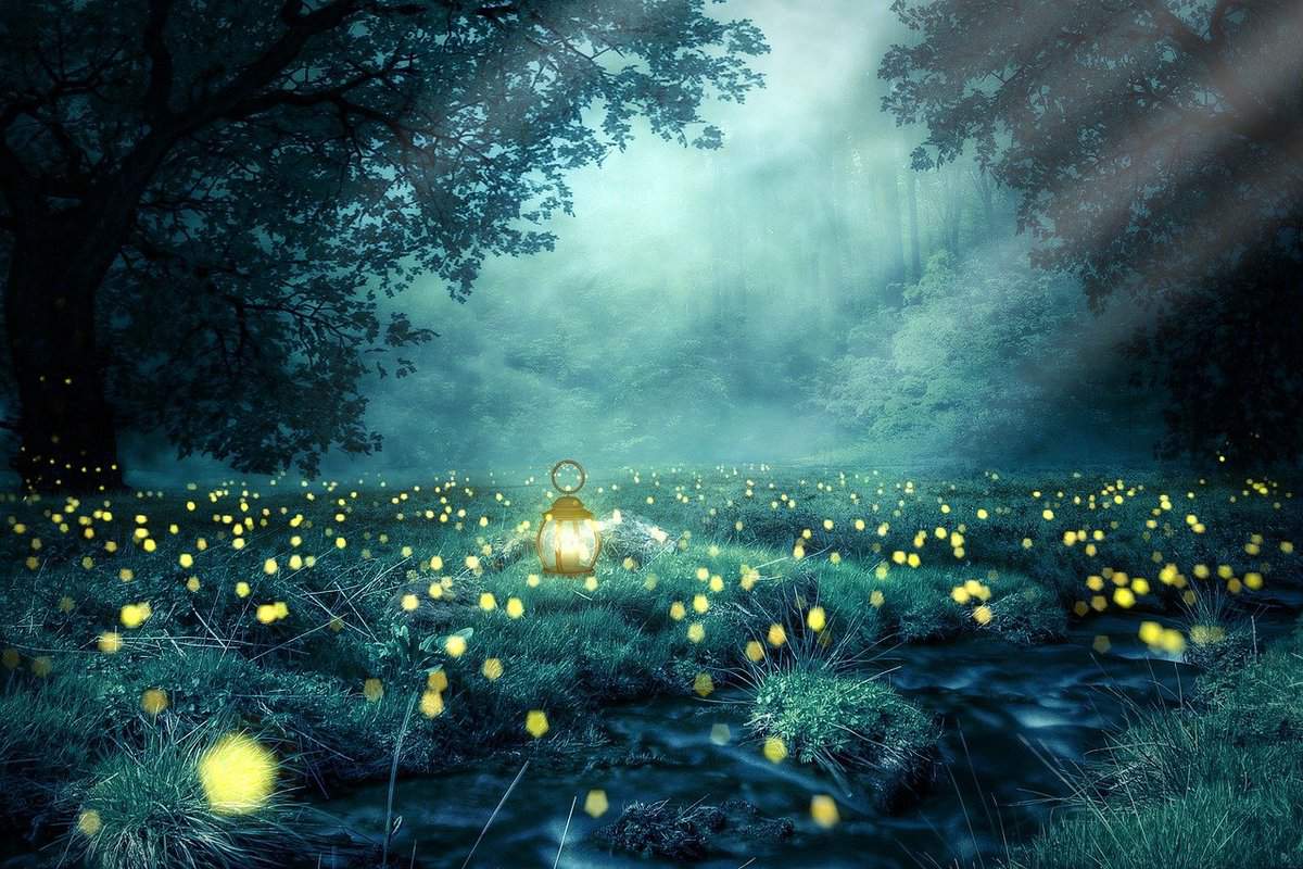 lámparas-bosque-brillante
