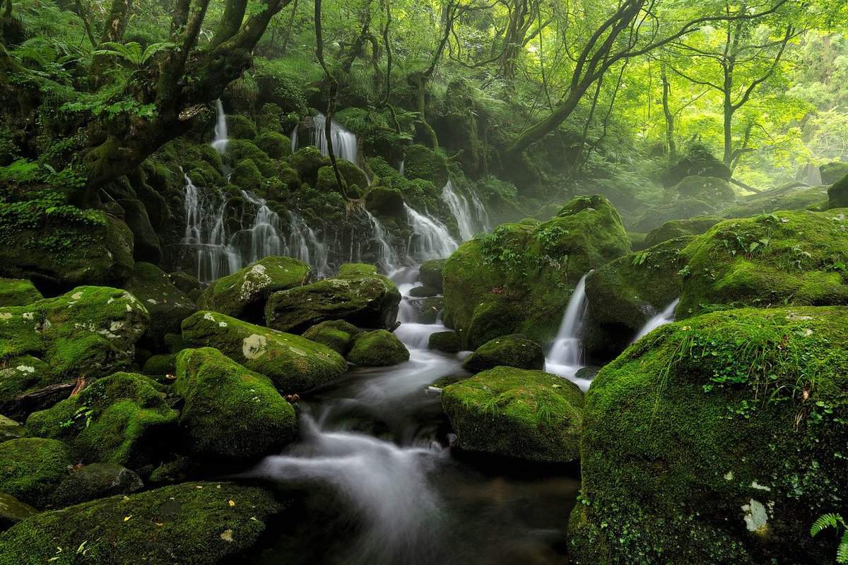 waterfall-trees-rocks