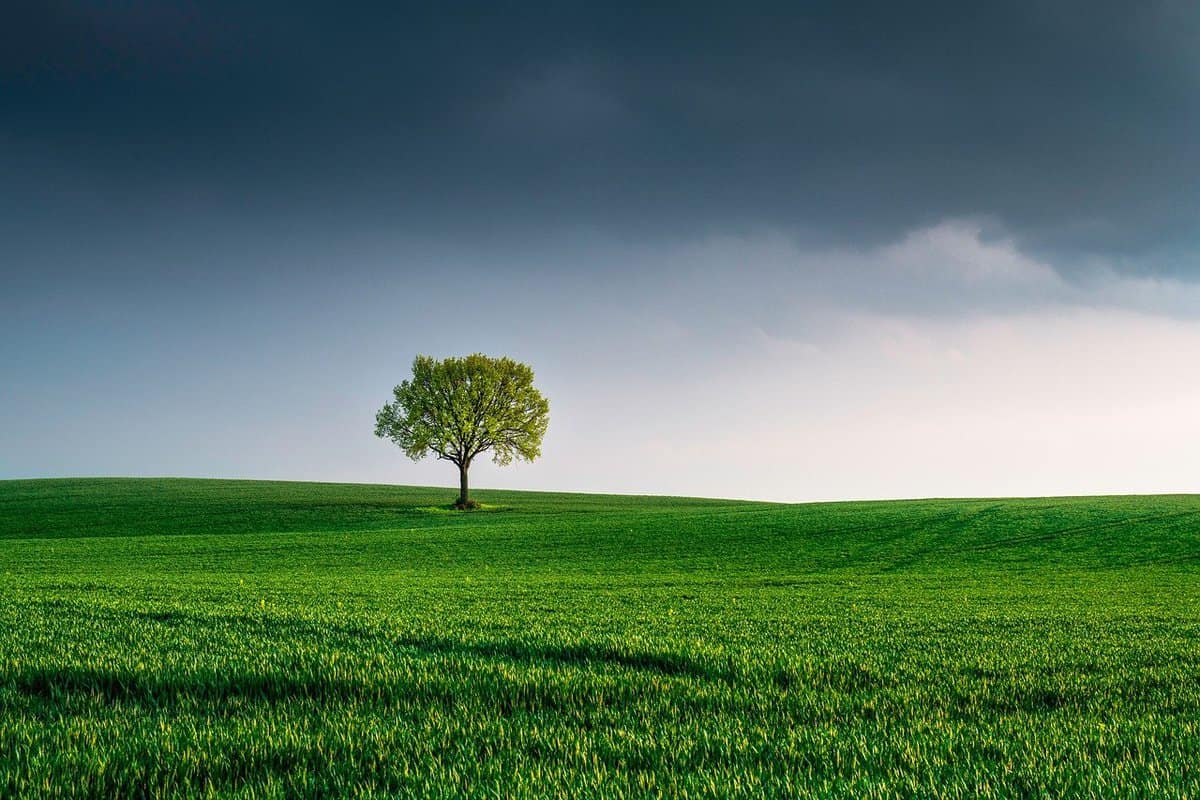 bellissimo-paesaggio-semplice