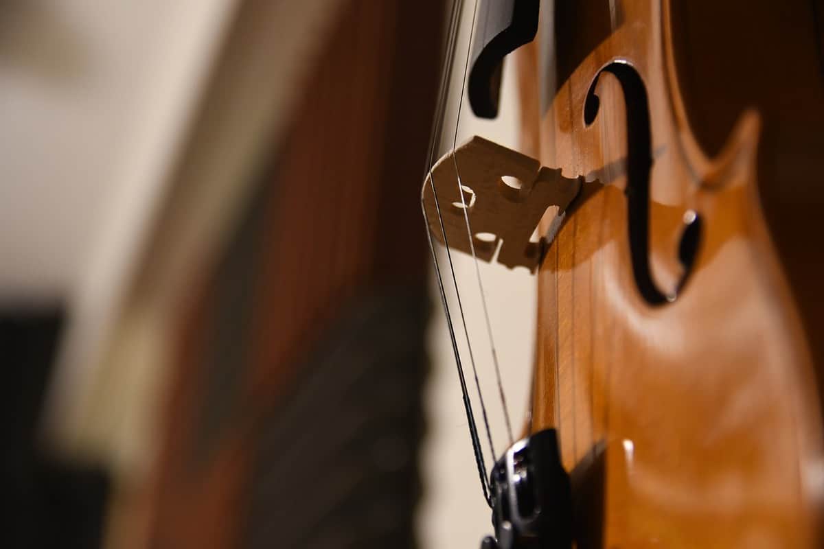 instrument-vionchelo-classical