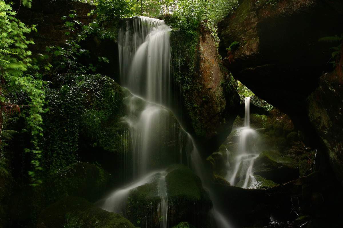 美しい自然の風景