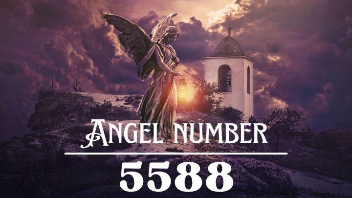 Angel Number 5588 Meaning: Stay Determined And Persistent