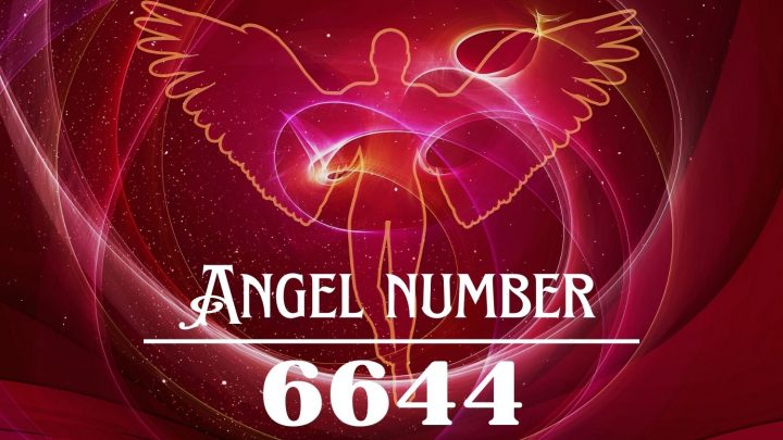 Angel Number 6644 Meaning: You Can Always Begin Again