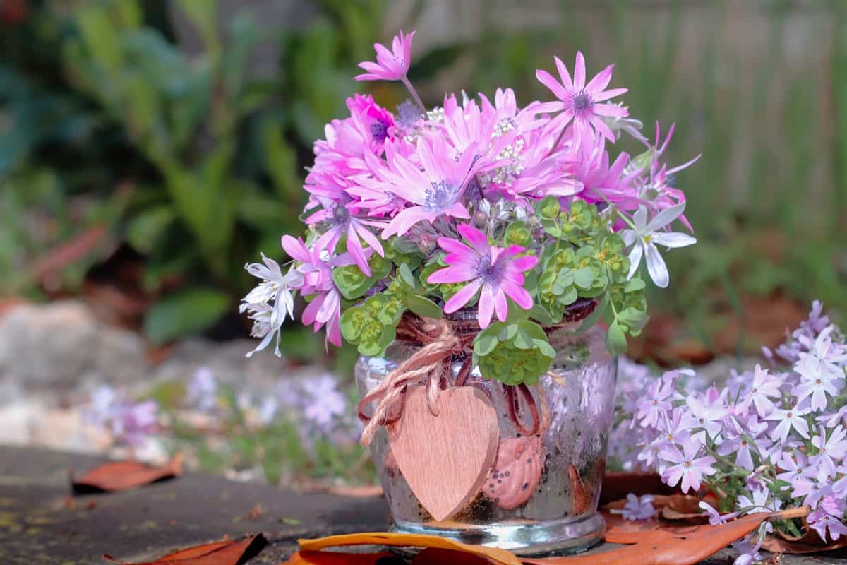 flores-rosadas-hermosas