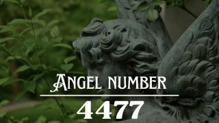 Angel Number 4477 Meaning: Expect The Unexpected, Wonderful Things Are ...